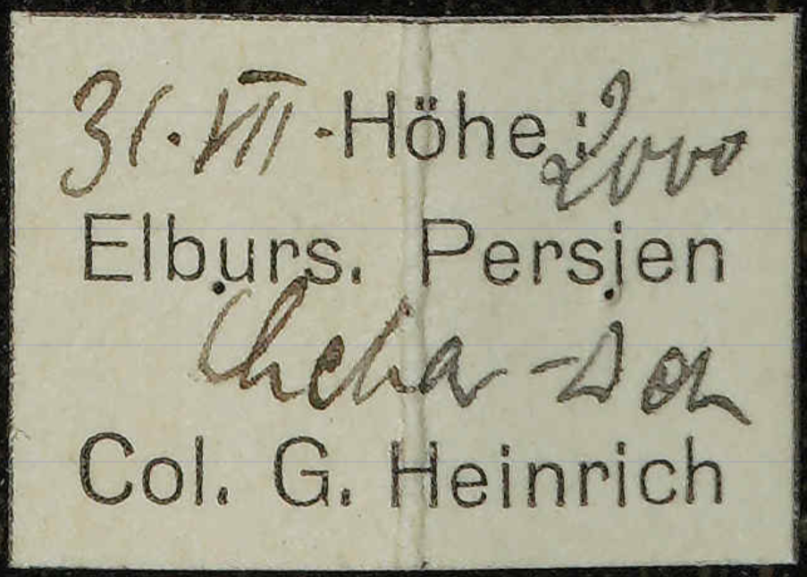 Screenshot 2025-08-08 104034